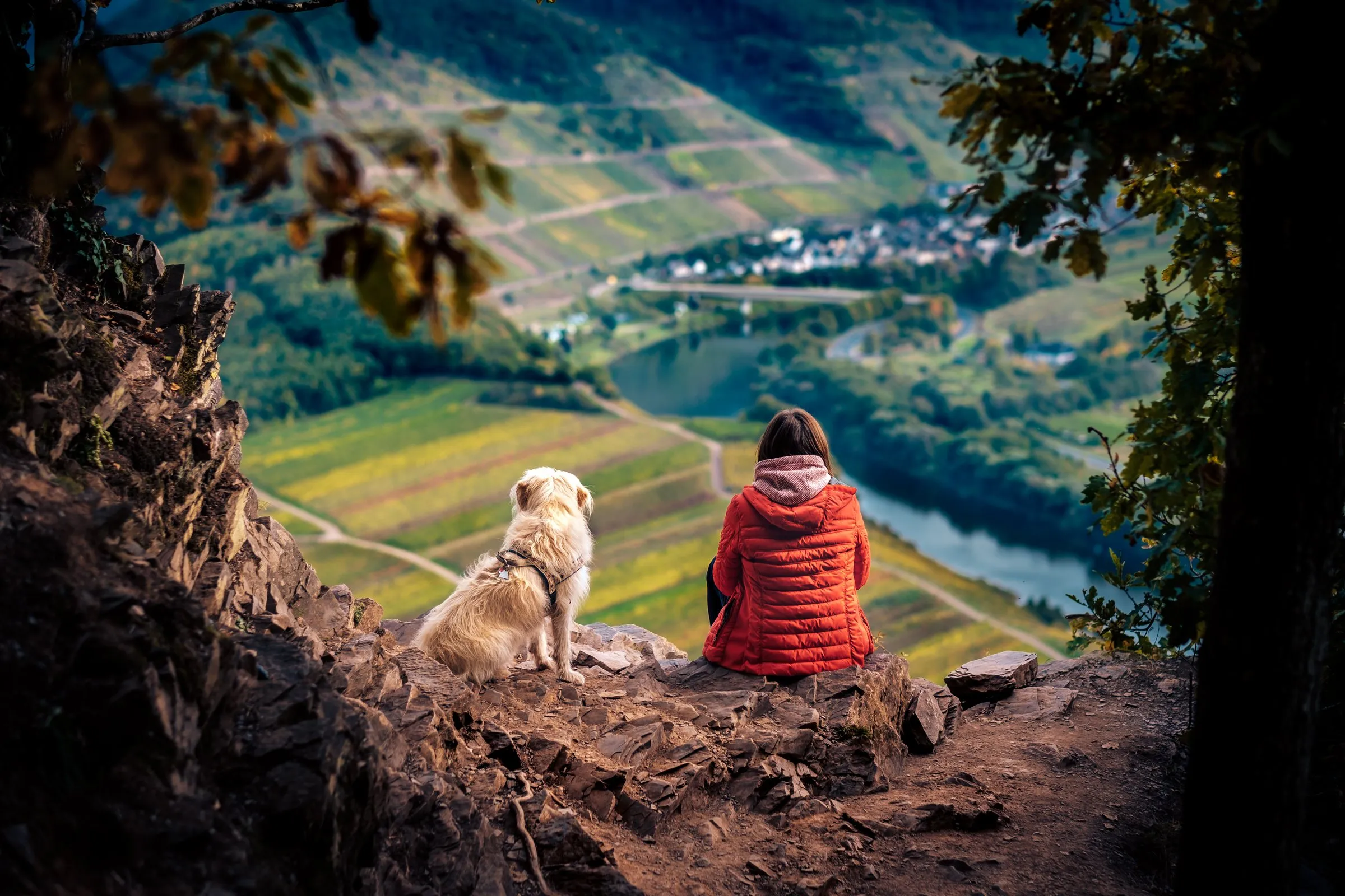 Frau mit Hund sitzt auf einem Felsvorsprung über dem Moseltal