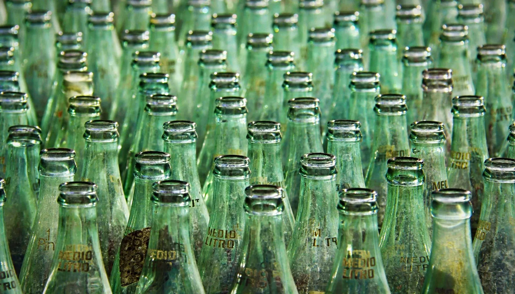 Reihen grüner Glasflaschen in einer Abfüllanlage