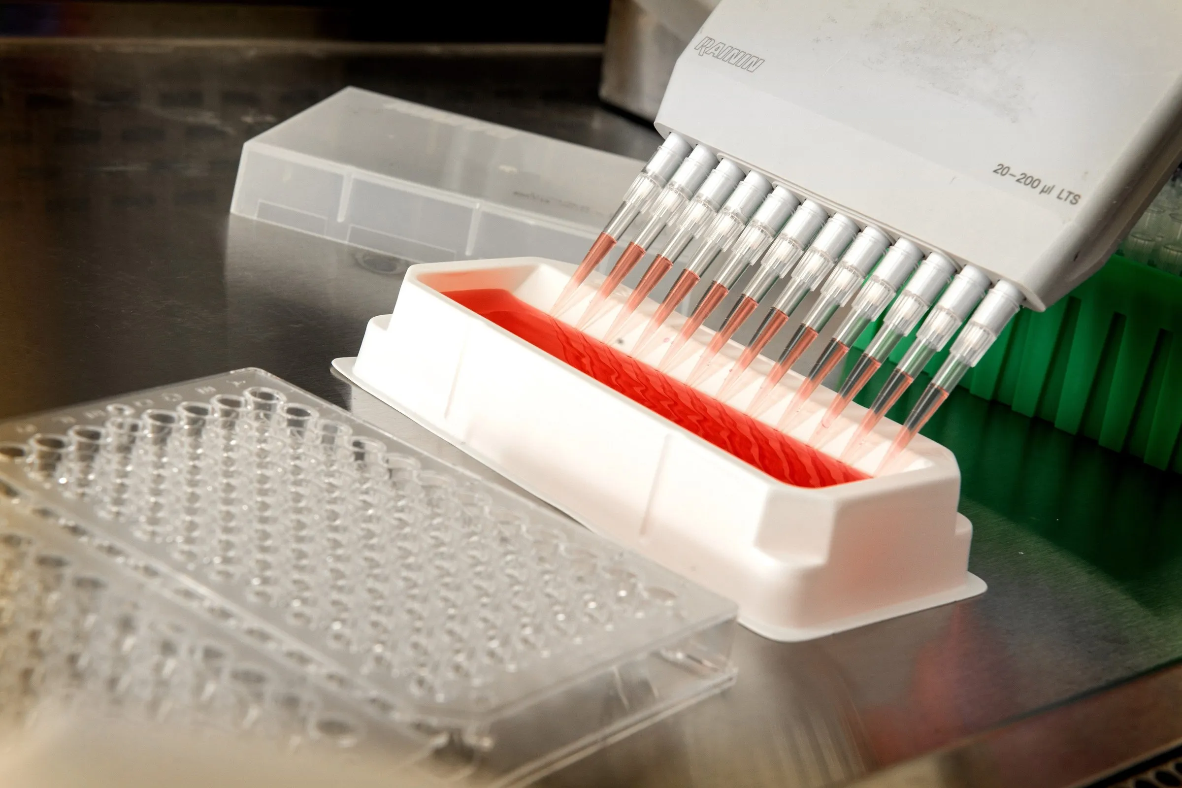 Mehrkanalpipette über einer Mikrotiterplatte im Labor