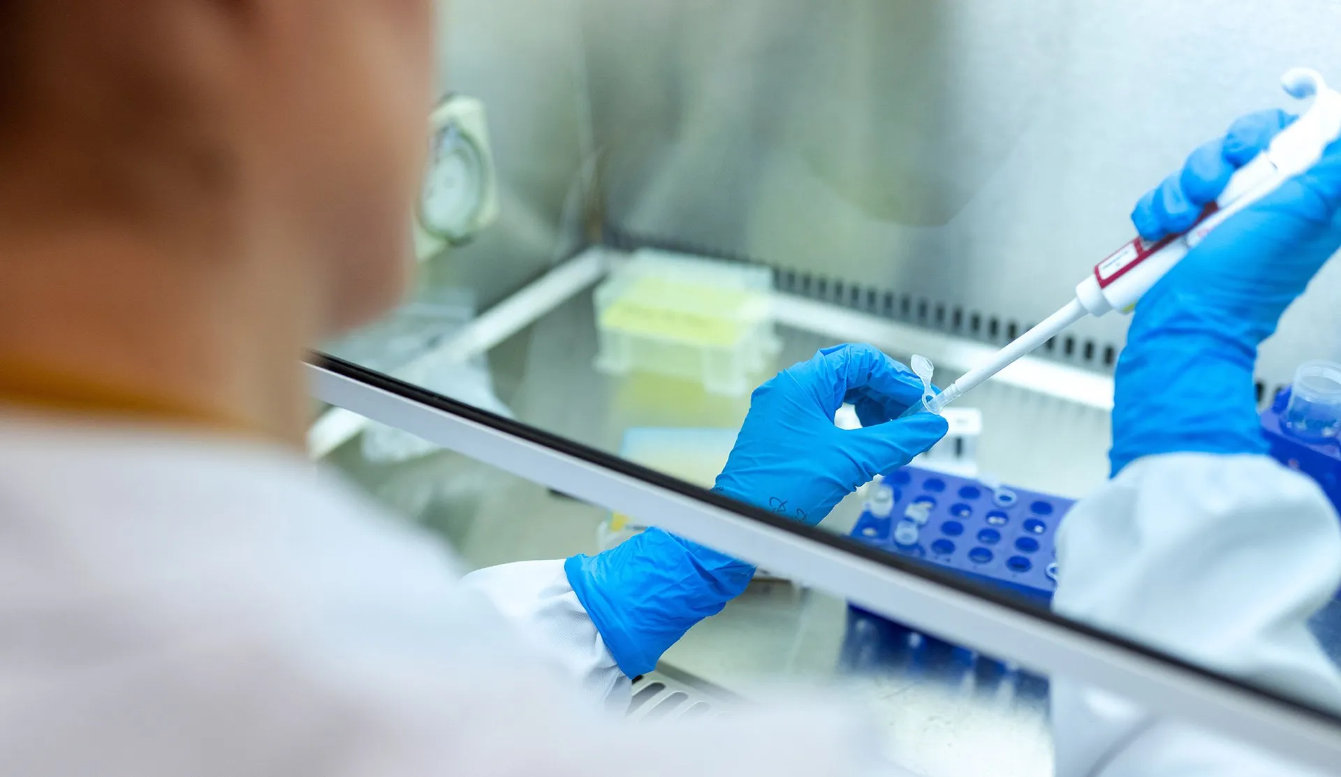 Pipettieren an einer Sicherheitswerkbank