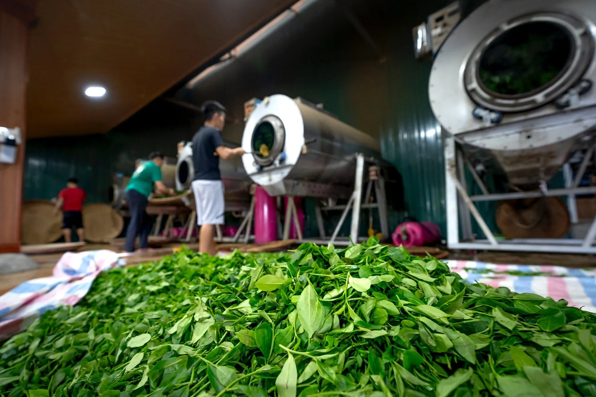 Produktionsanlage in einer Fertigungshalle