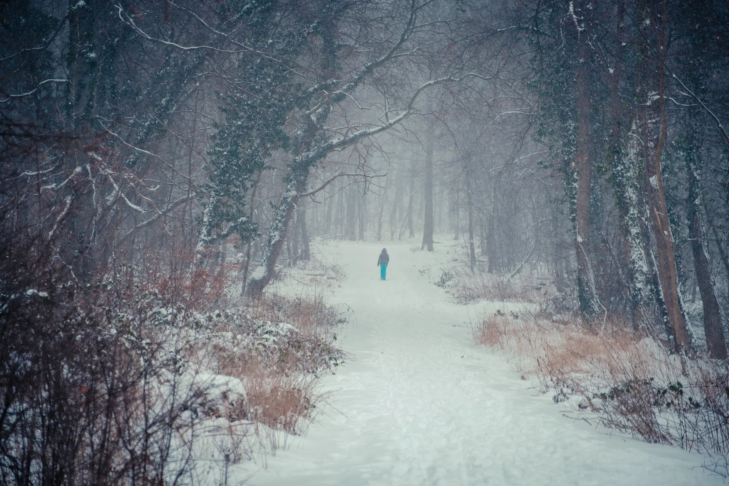 Person geht allein über einen verschneiten Waldweg
