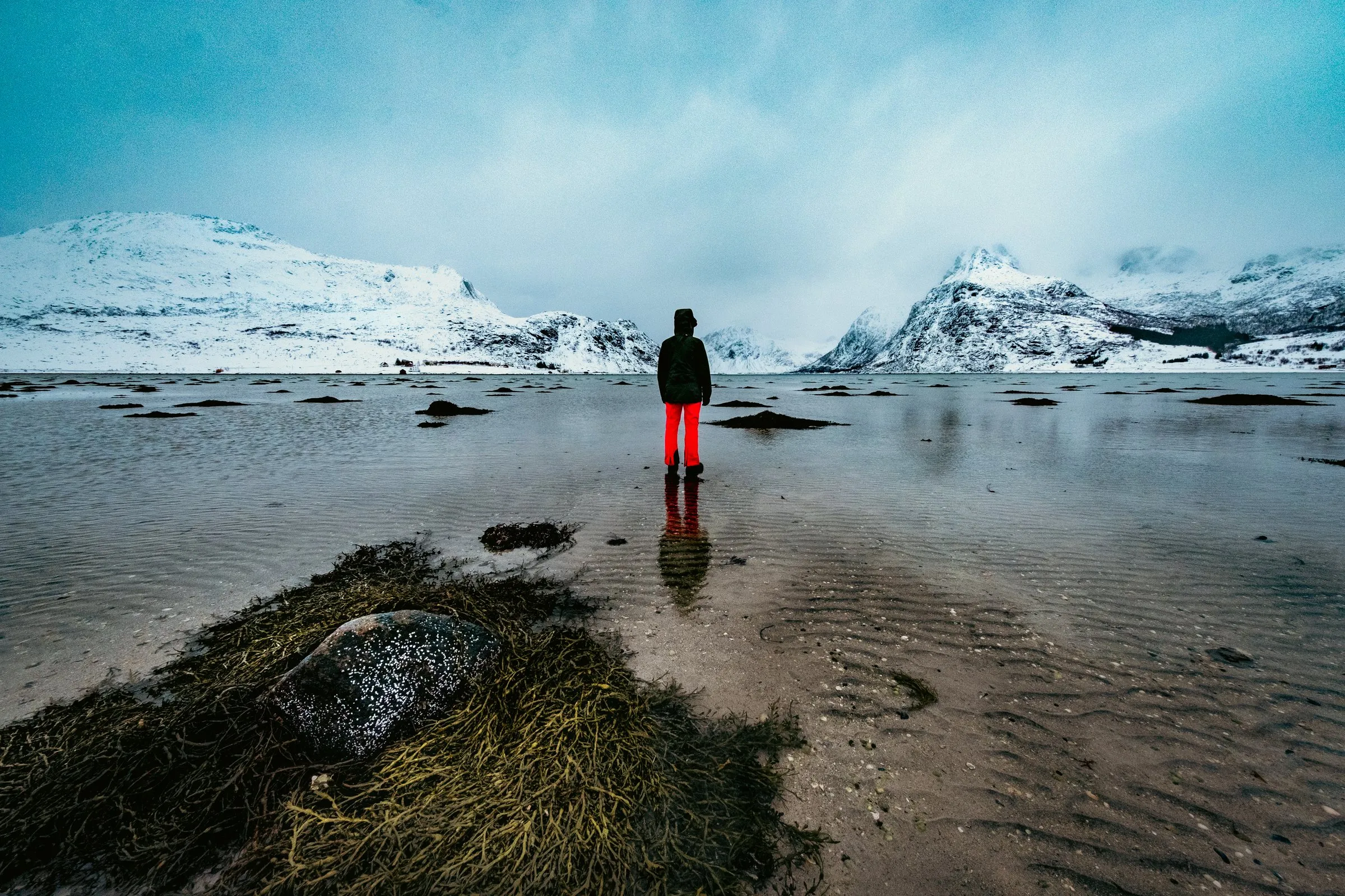 Person steht am Strand und blickt auf verschneite Berge